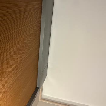 Pet Dostu İddiası Yalanlandı: Yüksek Ücret, Yetersiz Hizmet Ve Sınırlı İzinler