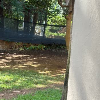 Pet Dostu İddiası Yalanlandı: Yüksek Ücret, Yetersiz Hizmet Ve Sınırlı İzinler