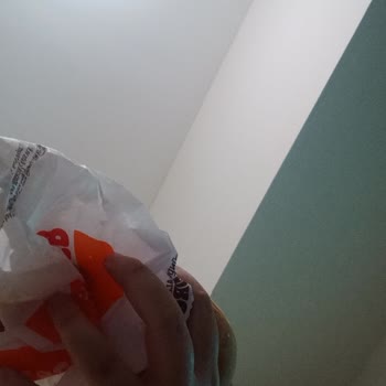 Burger King Menüsünde Böcek Bulundu, Hijyen İhlali Ve Hamile Risk