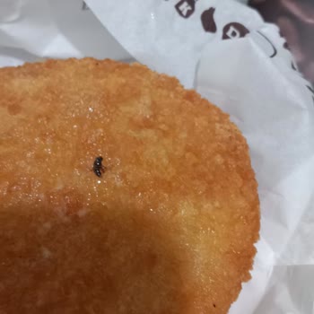 Burger King Menüsünde Böcek Bulundu, Hijyen İhlali Ve Hamile Risk