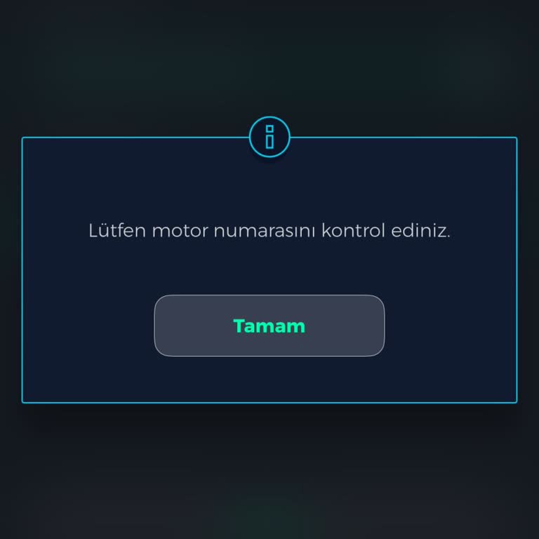 Yol Arkadaşım Uygulamasında Motor Numarası Hatası Ve Müşteri Hizmetlerine Ulaşılamaması