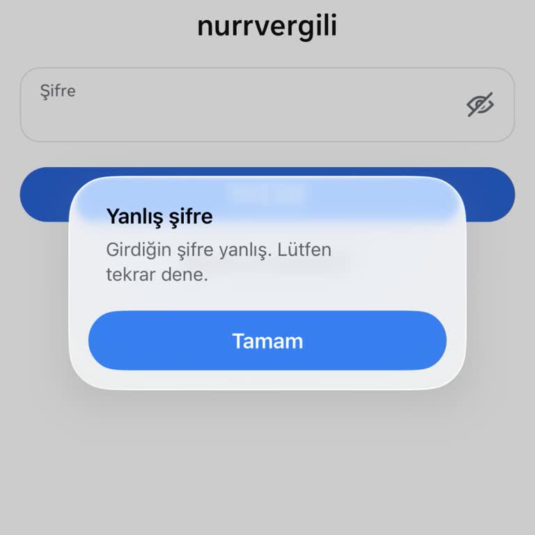 İPhone Instagram Uygulamasında Doğru Şifreye Rağmen Yanlış Şifre Hatası