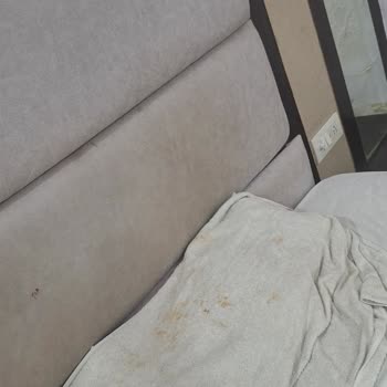 Hotel Grand Father Agra Dirty Room, AC Issues and Overcharged Bill