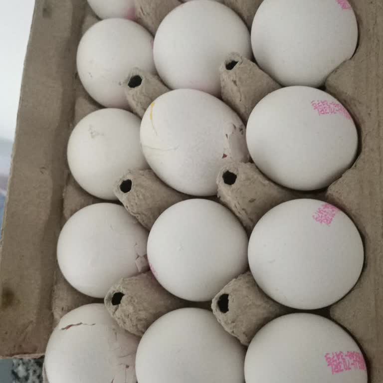 Ekstra Kargo Ücretine Rağmen Kırık Yumurta Ve Müşteri Hizmetleri İhmali