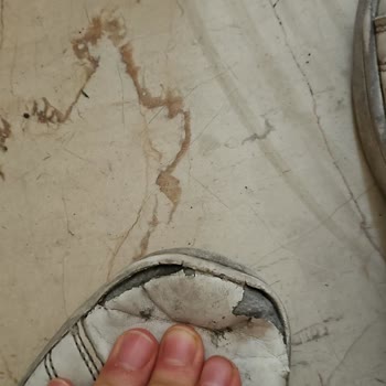 Kısa Sürede Yırtılan Ayakkabı Garanti Red Cevabı Ve Değişim Talebi