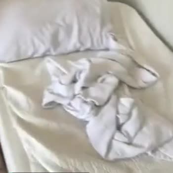 Kaş Uygulama Oteli Kirli Ve Küçük Yatakların Altında Bir Tane Daha Yatak Var!