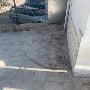 Şok Market Önünde Hijyen Kirliliği Ve Sağlık Riski