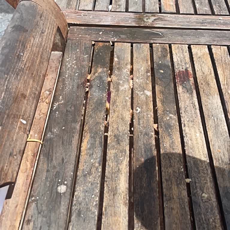 Golden Age Crystal Bodrum’da Temizlik, Oda Düzeni Ve Sıcak Su Sorunları