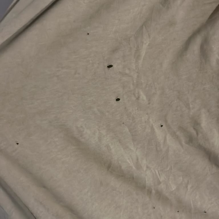 Kısa Sürede Delik Açan Elbise İçin Ücret İadesi Ve İnceleme Talebi