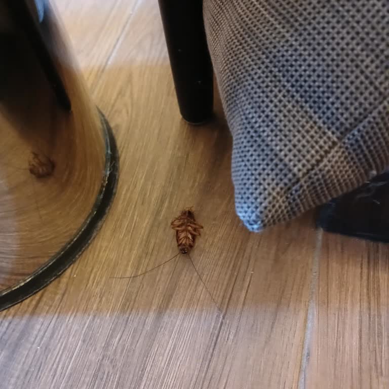 Etstur Yanıltıcı +12 Otel Politikası Ve Haksız Park Cezası Mağduriyeti