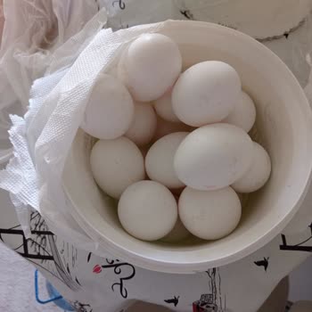 Bozuk Yumurta İadesi Ve Müşteri Hizmetlerinden Yanıt Alamama