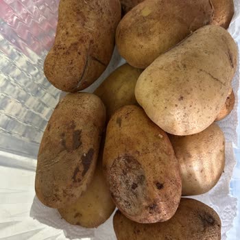 Migros Hemen'den Çürük Patates, Karpuz Ve Biber İçeren Sipariş