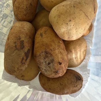 Migros Hemen'den Çürük Patates, Karpuz Ve Biber İçeren Sipariş