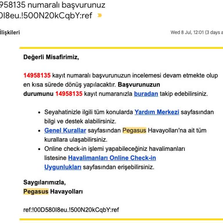 Pegasus’ta Satın Aldığım Koltuk Başkasına Satıldı Ve 40 Gün İade Bekliyoruz