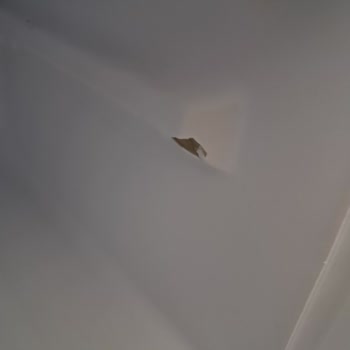 Garanti Kapsamındaki Kapak Lastiği Tekrar Yırtıldı Ve Ücret Talep Edildi