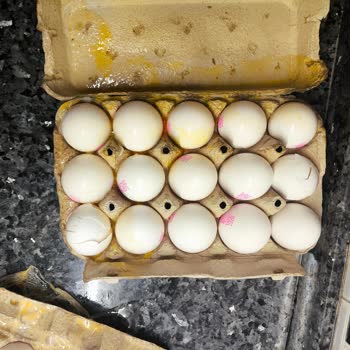Kırık Yumurtalar Teslim Edildi, Değişim Talebine Yanıt Gelmedi