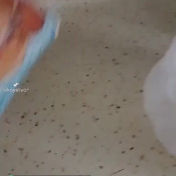 Nora Un Tüketici Memnuniyetsizliği