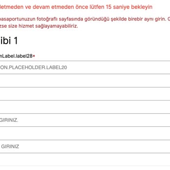 VFS Global Sistem Hatası Danimarka Vize Randevu Alımını Engelliyor