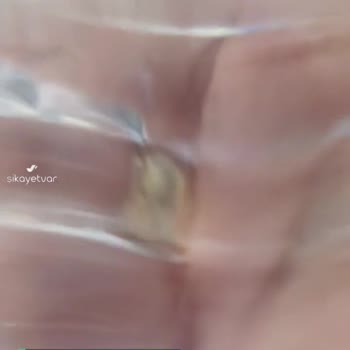 Özkaynak Gebze Damacanada Çıkan Pislik