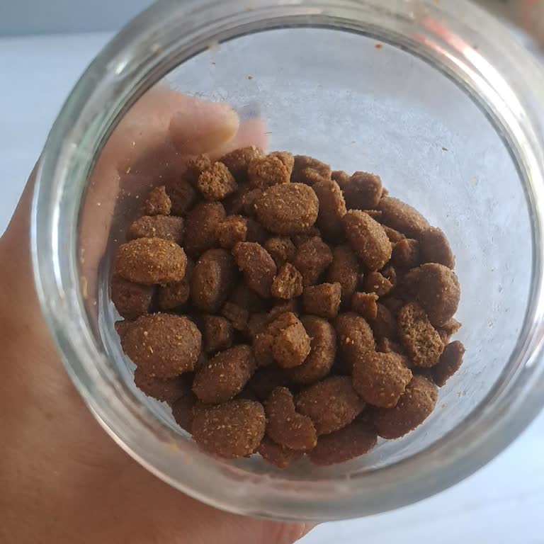 Kırık Ve Koyu Renkli Mama, Mağazanın İlgisiz Yanıtı