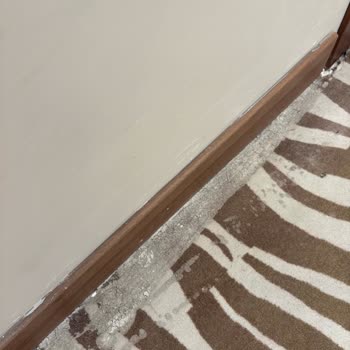 Banyo Su Sızıntısı, Balkon Kapısı Ve Mahremiyet Sorunları Otelde
