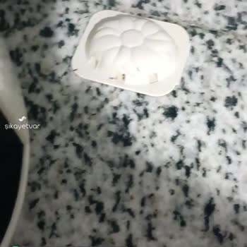 Raid Karınca Yemi Hiçbir İşe Yaramıyor!