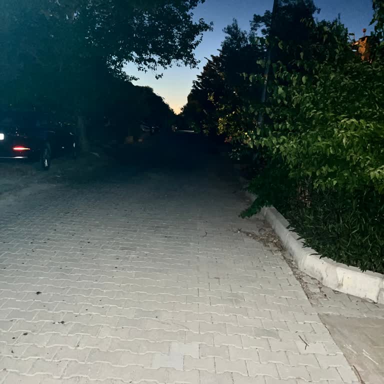 Tüm Sokak Lambaları Kararmış, Acil Müdahale Talebi