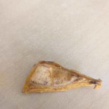 Mantarlaşmış Kuru Mango Ürünü Gıda Güvenliğini Tehdit Ediyor