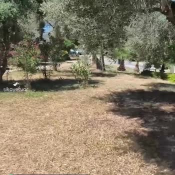 Sahara Aqua Resort İade Edilmeyen Ücret Ve Kötü Yönetim
