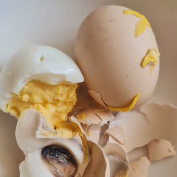 Son Kullanma Tarihi Olmasına Rağmen Yarım Paket Yumurta Çürük