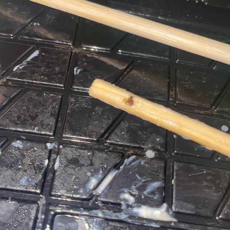 Yemeksepeti Sushi Siparişinde Ölü Sinek: Hijyen İhlali