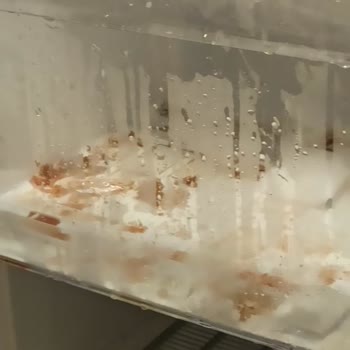 Arçelik Derin Dondurucu Soğutmuyor, 50 Bin TL Değerinde Gıdalar Ve Bebek Yemleri Yok Oldu