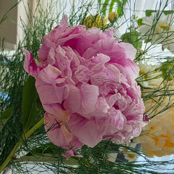 Lilyana Flowers'tan Çürük Buket Teslimatı