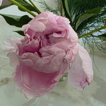 Lilyana Flowers'tan Çürük Buket Teslimatı