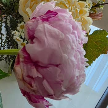 Lilyana Flowers'tan Çürük Buket Teslimatı