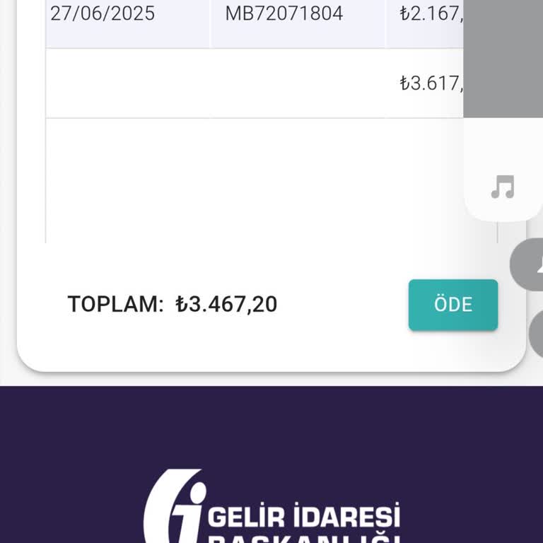 Dijital Vergi Dairesi Ödediğim Ceza Borç Olarak Görünüyor