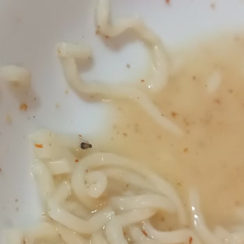 Jumbo Noodle İçinde Böcek Çıktı: Gıda Güvenliği Ve Tüketici Güveni Sarsıldı
