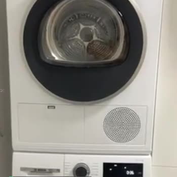 Bosch Pişmanlığı