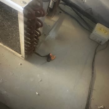 Garanti Kapsamındaki Buzdolabının Patlaması, Servis Reddi Ve 21.000 TL Tamir Bedeli