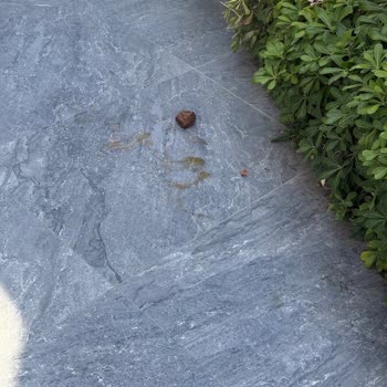 Vogue Otelinde Hijyen Ve Konfor Sorunları Nedeniyle İade Talebi