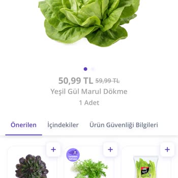 Çürük Marul Teslimatı Ve Ücret İadesi Talebi