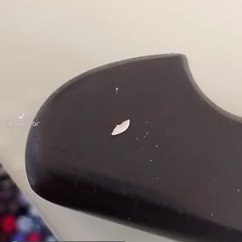 Torku Sucuktan Kemik Çıktı!