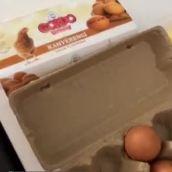 BİM Gordo Yumurtanın Bozuk Çıkması