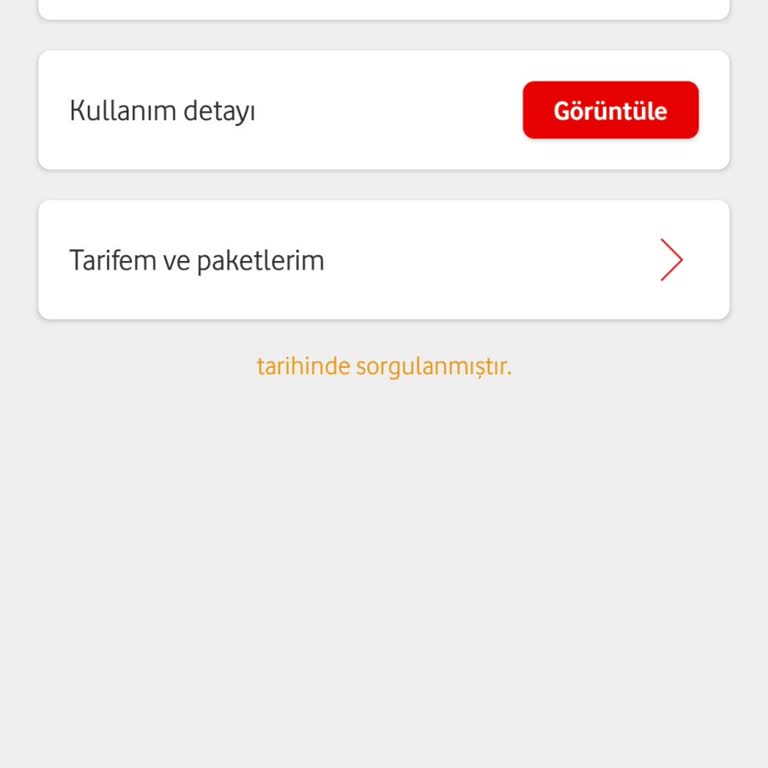 İzinsiz Her Şey Dahil Pasaport Ve Ek İnternet Paketi Ücretleri