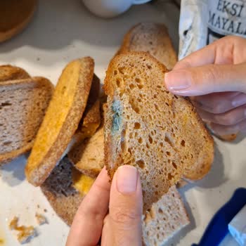Sağlık Riski Taşıyan Bozuk Ekmek Teslimatı