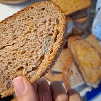 Sağlık Riski Taşıyan Bozuk Ekmek Teslimatı