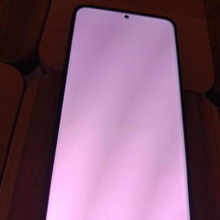 Samsung S20 Ultra Ekranı Aniden Yeşile Döndü Ve Görüntü Yok