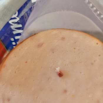 Namet Piliç Füme Salamda Kemik Parçası Gıda Güvenliği Riski