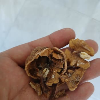 Migros Kastamonu Kuzeykent Şubesinde Satılan Kurtlu Ceviz İçin İade Talebi
