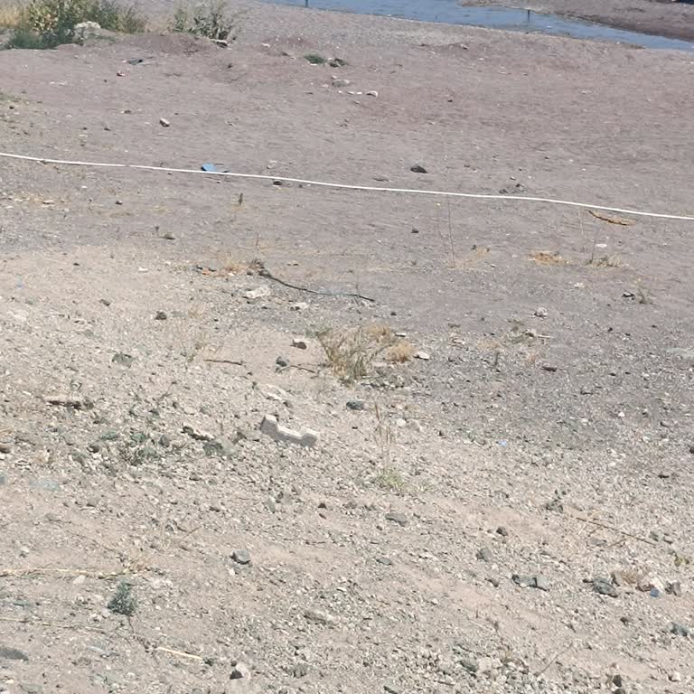 Ahlat Sahilinde Kanalizasyon Kokusundan Doğan Su Kirliliği